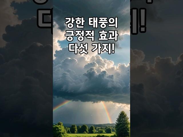 태풍의 숨은 얼굴: 재해 뒤에 숨겨진 긍정적 효과들