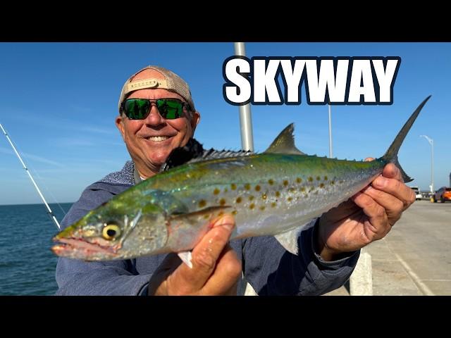 Simple Way To Catch Fish On The Skyway Fishing Pier ( Spanish Mackerel Catch, Clean and Cook)