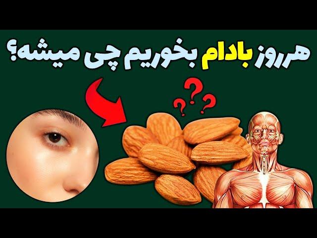 ۷ روز هر روز بادام بخورید و شگفت زده شوید! | 5 دلیل برای خوردن هر روز بادام درختی