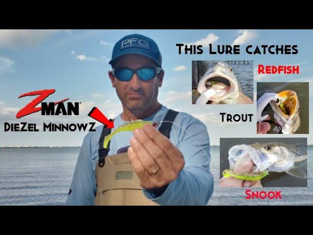 Zman DieZel MinnowZ Review-Catching Snook,Trout and Redfish