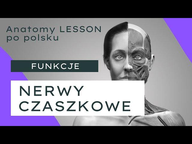 ANATOMY LESSON po polsku - #14 Nerwy czaszkowe - funkcje