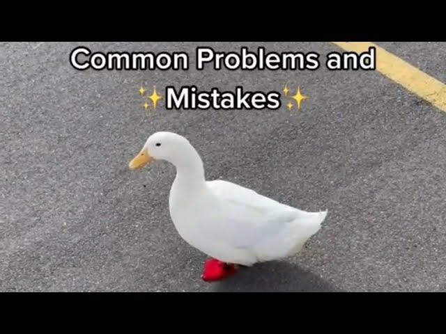 How to Pick Up a Duck