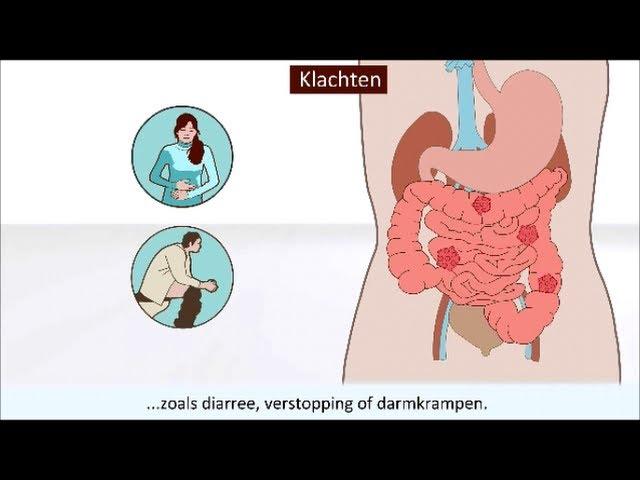 Bacteriën en virussen - Wat zijn het en hoe kun je een infectie voorkomen?