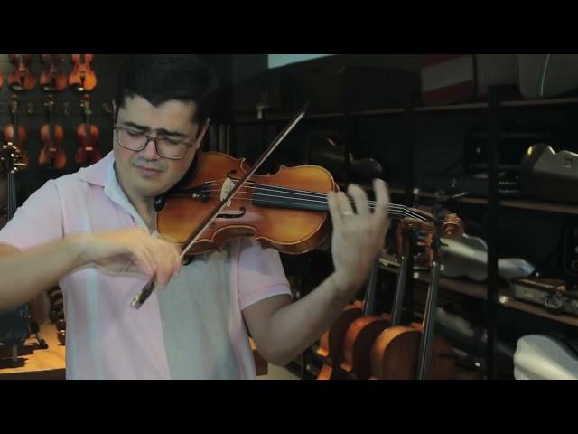 VIOLINO FEITO À MÃO FUNDO BIPARTIDO MODELO STRAD 4/4 BRILHO