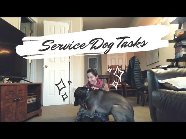 My Service Dog Tasks (w/ demonstrations!) | Psychiatric and Medical SD