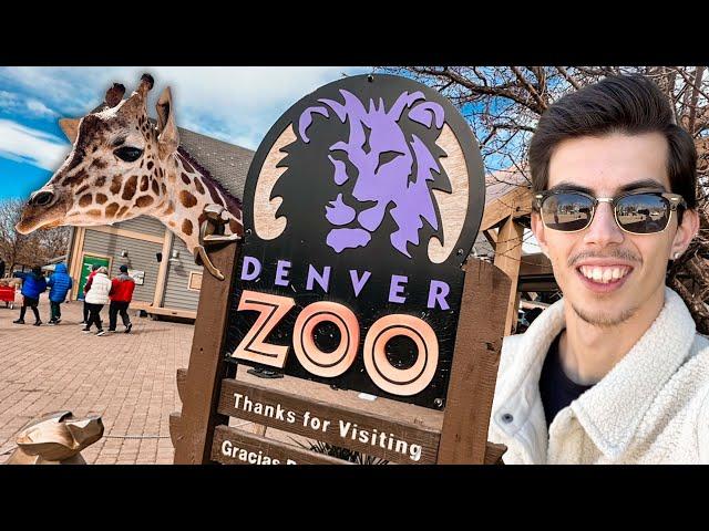 Our FIRST VISIT to the Denver Zoo in Colorado!! Full Walking Tour & NEW Exhibits!