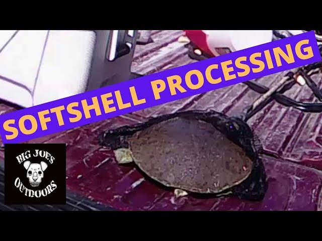 How to process a softshell turtle for dinner.