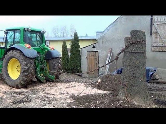 Amazing Dangerous Monster Stump Removal Excavator - Extreme Tractor vs Big Tree Stump in Action.