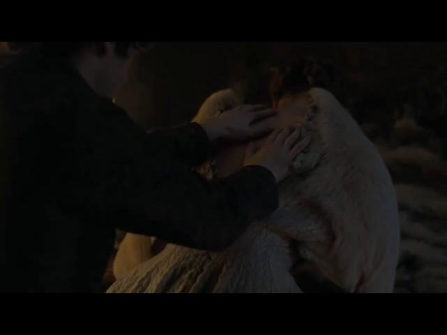 Sansa stark sex scene got