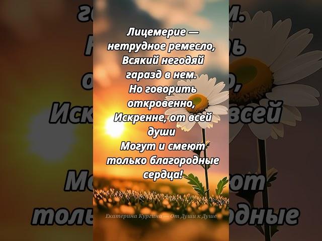 Истина жизни.#shorts #лирическиестихи #философия