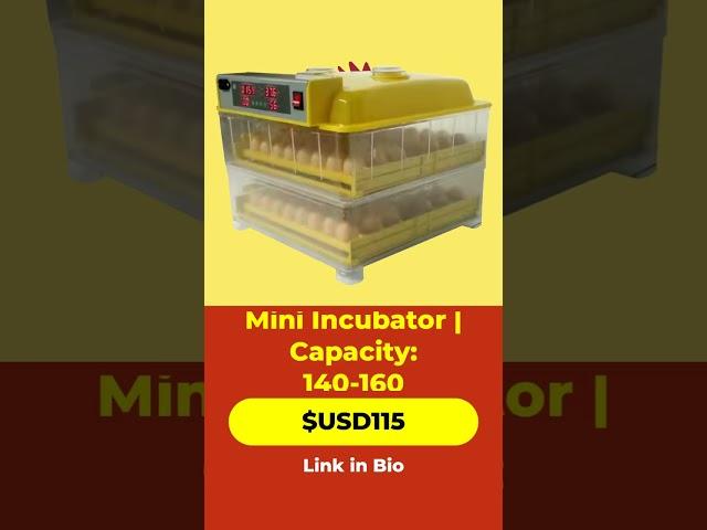 Best Mini Incubator for Efficient Egg Hatching