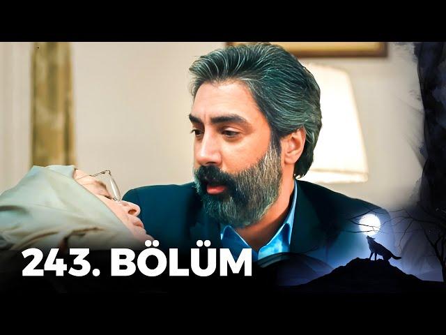 Kurtlar Vadisi Pusu - 243. Bölüm FULL HD