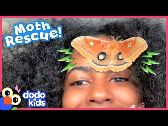 What In The World Did This Giant Moth Leave Behind? | Dodo Kids | Rescued!