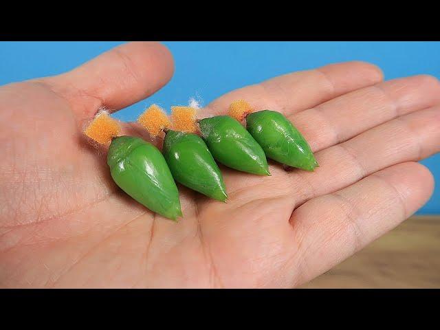 I bought four tropical butterfly pupae! How to make Butterfly at home