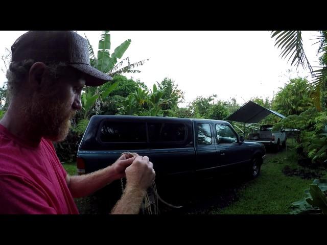 Making bark cordage that can pull a truck