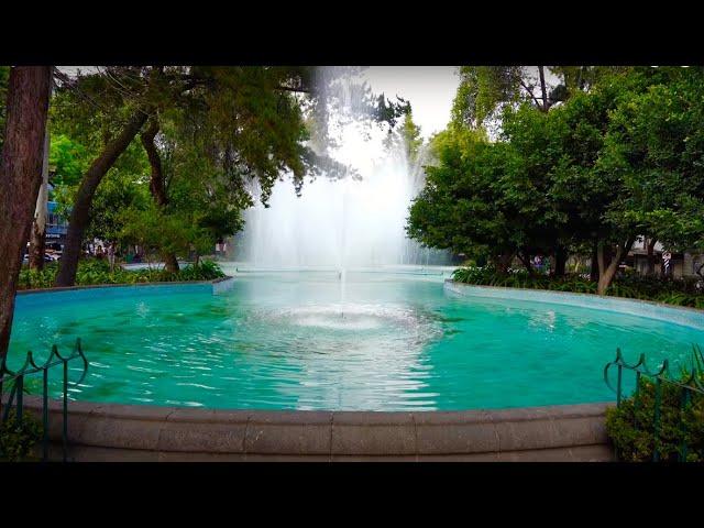 ¿LA CALLE MÁS BONITA? CIUDAD DE MEXICO 4K  2021 ️