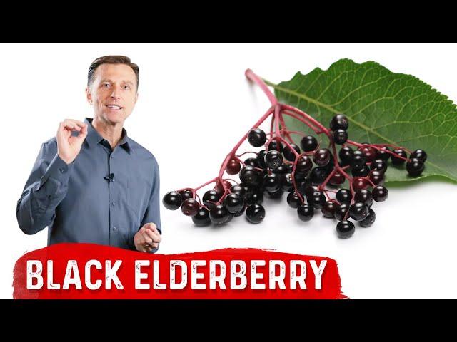 The Amazing Benefits of Black Elderberry