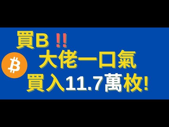 娃铐！ 大佬一口气买入比特币11.7万枚 ！看完这个视频，你就知道，你要在什么价格买入比特币？