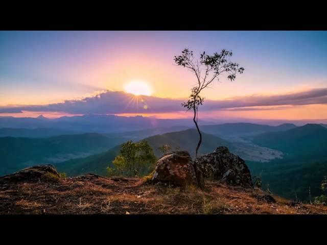 Paradise - Natalie Howard  (Surfers Paradise, Gold Coast)