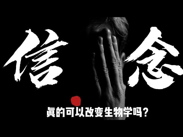 我们的信念真的可以改变生物学吗？“信念如何改变你的身体？科学揭秘大脑对基因的神奇影响！”《信念的力量——新生物学给我们的启示》