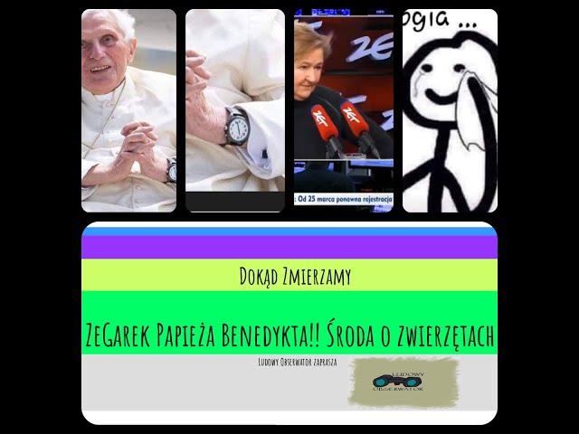 Zegarek Papieża Benedykta, Środa o zwierzętach o co chodzi? Moja własna teoria spiskowa.