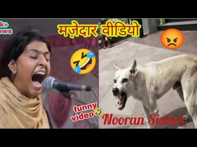 Nooran Sisters Roast ।। Nooran Sisters Funny video ।। Roast Mortem In Hindi @Kunalpassiofficial