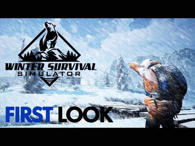 Winter Survival Simulator | First Look