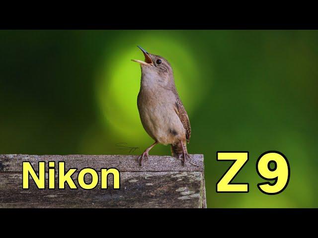 Shot on Nikon z9 / 4K  120P HDR Sample videos and photos