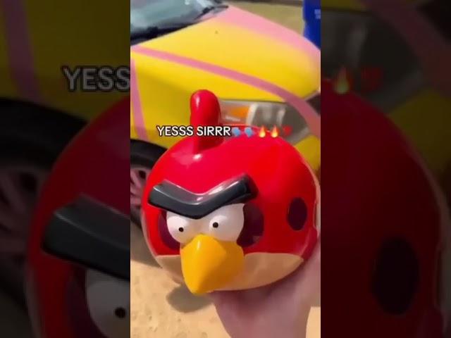 Angry Bird #memes #meme #angrybirds #funny #funnyvideo