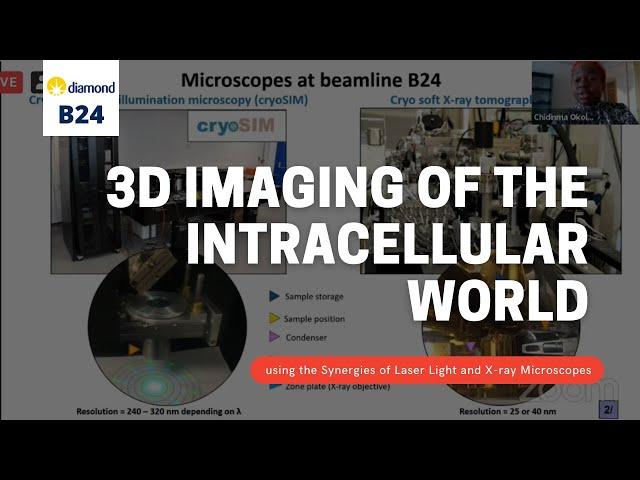 Imaging of the Intracellular World using the Synergies of Laser Light and X-ray Microscopes at B24