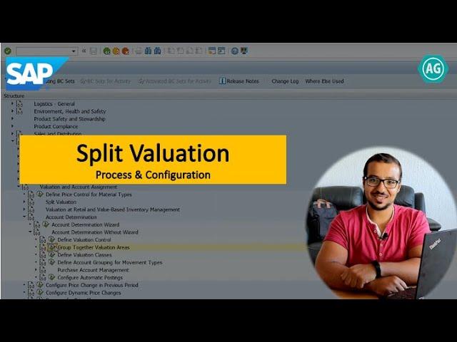 SAP: Split Valuation - Configuration and Process