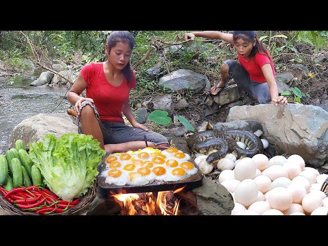 Pick lots egg near river and Cooking eggs on the rock for dinner - Survival cooking in jungle