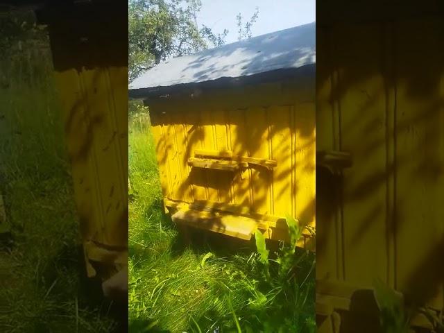 12 июля 2022 г.