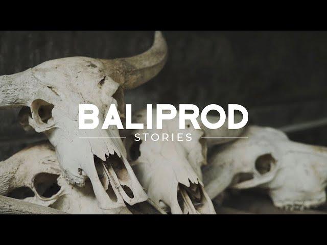 Skull Bliss: Portrait of a Skull Carver - Baliprod Stories