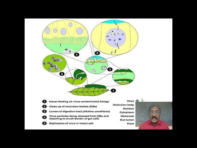 Trends in Plant Disease Control by Biologicals (Part - 3)