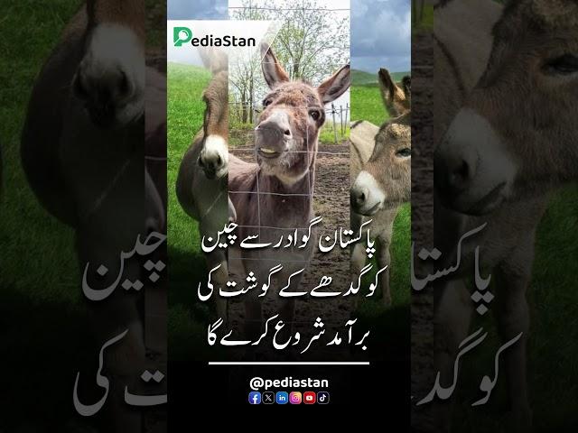 New Donkey Farms in Pakistan for Meat Exports to China