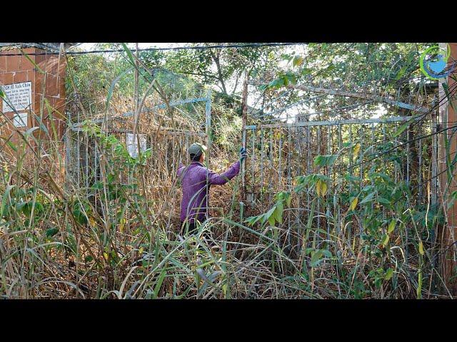 TERRIFIED Abandoned school after COVID-19, overgrown with vegetation, BEAUTIFUL TRANSFORMATION