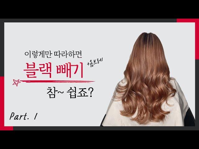 꿀팁이 너무 많아 일단 블리치 먼저 마스터 하실게요~! 블랙빼기부터 옴브레 디자인까지 [레시피 포함 / 특수염색 쉽게하기] Part.1