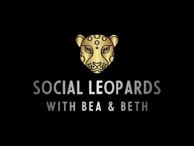 12: Navigating the Social Jungle: Reflections and Future Plans