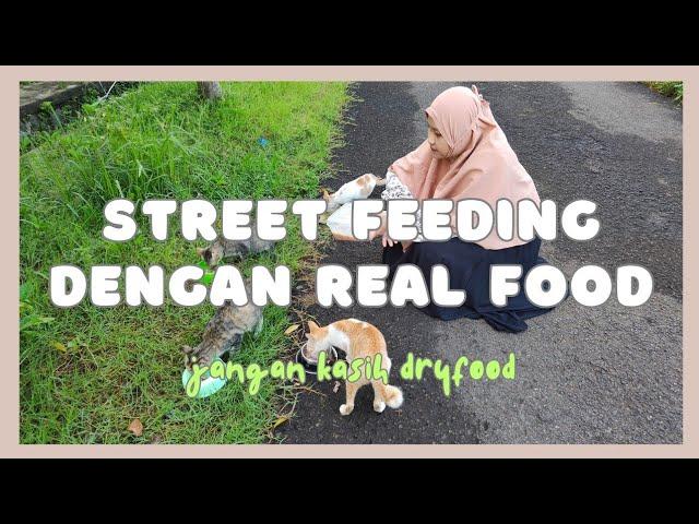 KASIH MAKAN KUCING JALANAN DENGAN MAKANAN YANG BAGUS - STREET FEEDING CAT REAL FOOD