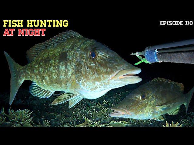 NIGHT SPEARFISHING EPISODE 110 | FISH HUNTING AT NIGHT