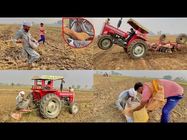 Wheat  Production Very Expensive of 1 acre   FarMer ‍ Life Defficult