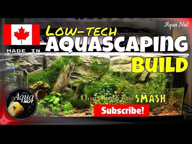 Step by Step Aquascaping Tutorial Guide PT 2| Planted Aquascape Build How to