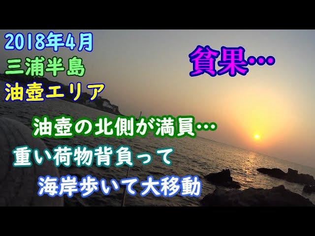 【三浦半島】油壺の磯。満員で北側から南側へ大移動の結果【2018年3月】