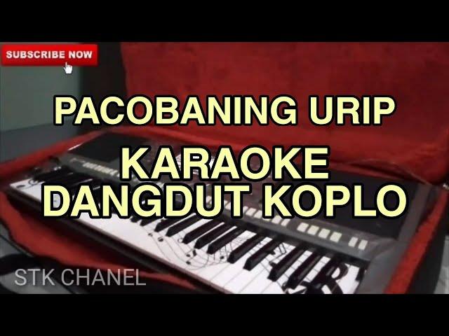 Pacobaning Urip - KARAOKE DANGDUT KOPLO