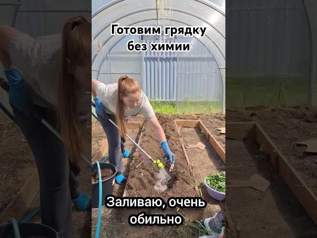 Готовим грядку без химии, для огурцов и арбузов! #грядки #огурцы #арбузы