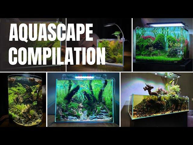 MY TOP 10 BEST AQUARIUM SETUPS OF ALL TIME!