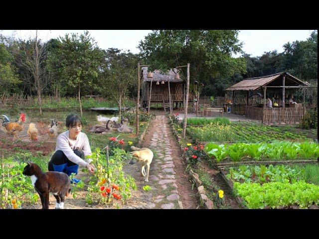 Full Video: 80 days of gardening, planting, harvesting, cooking and taking care of pets