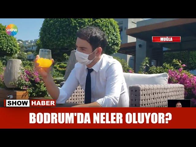 Bodrum'da neler oluyor?