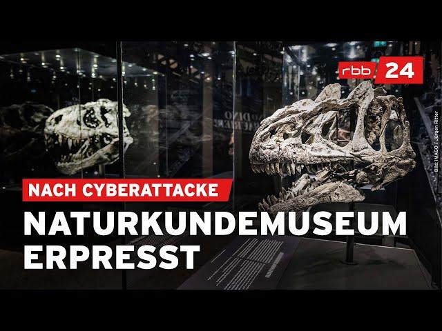 Cyber-Attacke: Hacker fordern Lösegeld von Naturkundemuseum Berlin